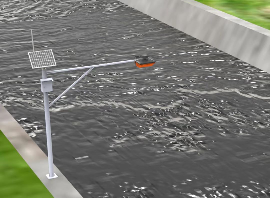 奋斗者正青春|退役女博士创业：“军营给了我太多！”