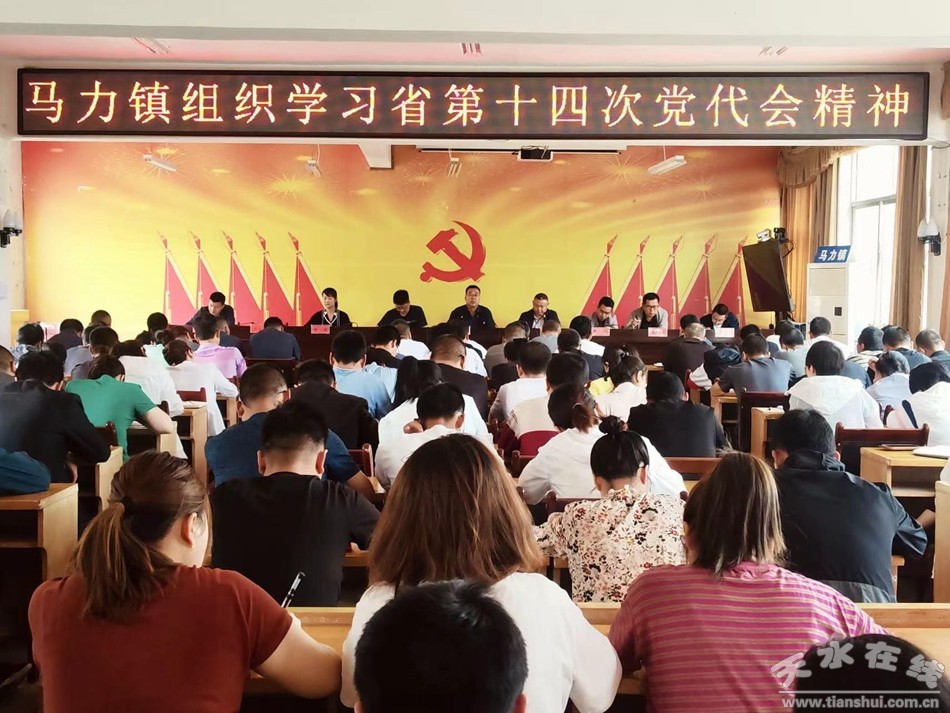 乡镇贯彻落实党代会精神,乡镇传达市第十一次党代会精神
