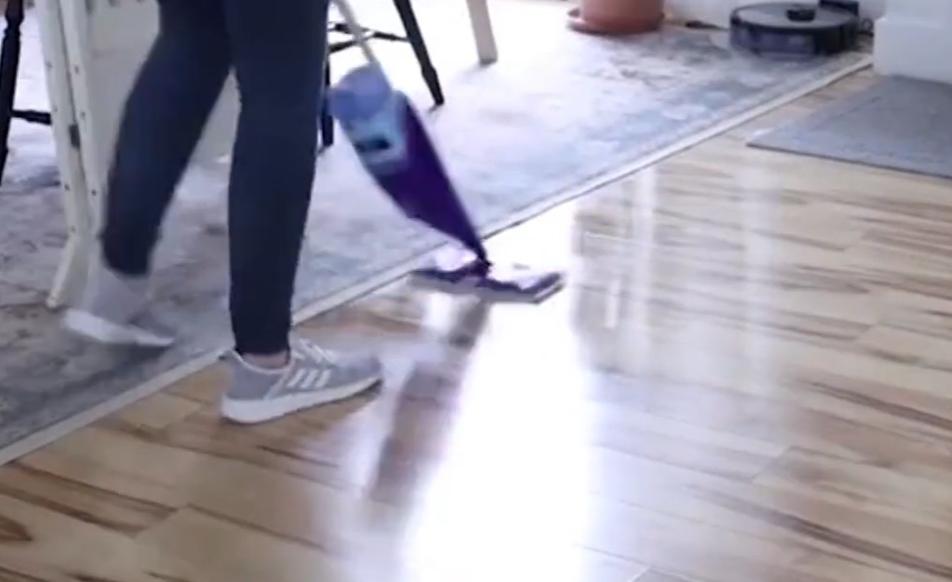 房间出现很多小虫怎么解决,家里白色细微小虫怎么处理