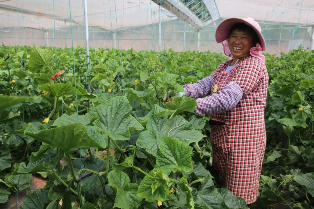 提起这个项目，村民都点赞