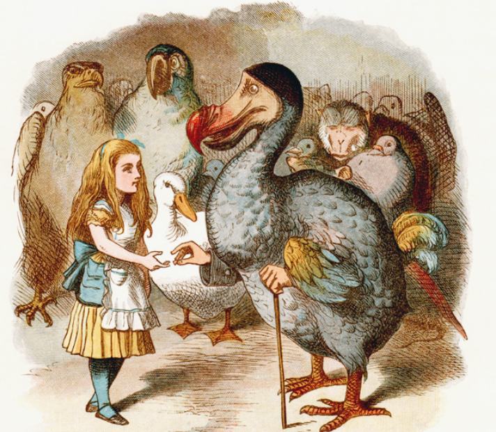 世界“最小避孕套”，藏在这里