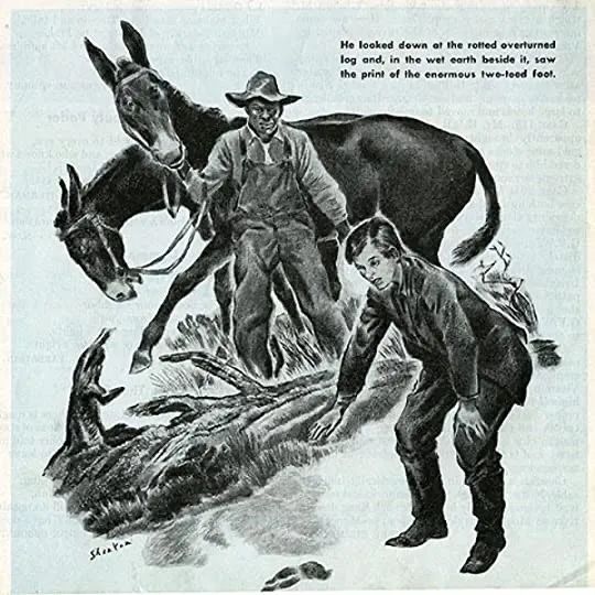 关于福克纳的小说,福克纳的小说大多以什么为背景