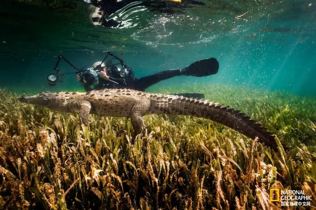 最伟大的作品6张照片,30秒最伟大的作品