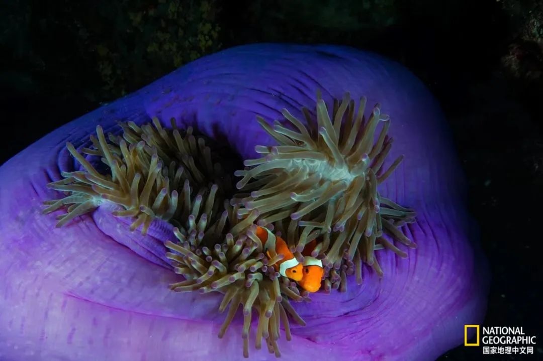 30张“最伟大的作品”