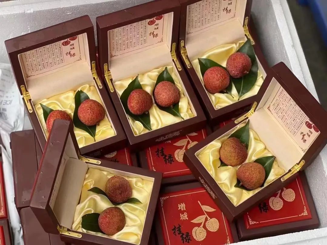 天价荔枝55万一棵为什么那么贵,增城挂绿荔枝多少钱一斤