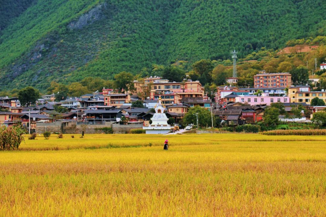 我们都是一家人快乐版,我们都是一家人相亲相爱