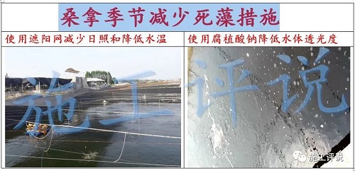 赞!一天一个价,江苏30条对虾冲到24块!南方也缺货,下个月还会持续涨价?但虾农如何熬过高温天?