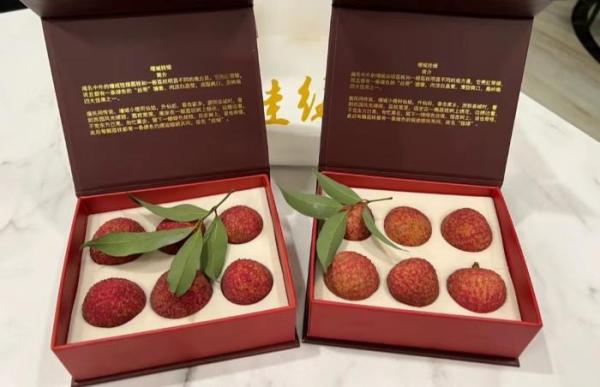 天价荔枝55万一棵为什么那么贵,增城挂绿荔枝多少钱一斤