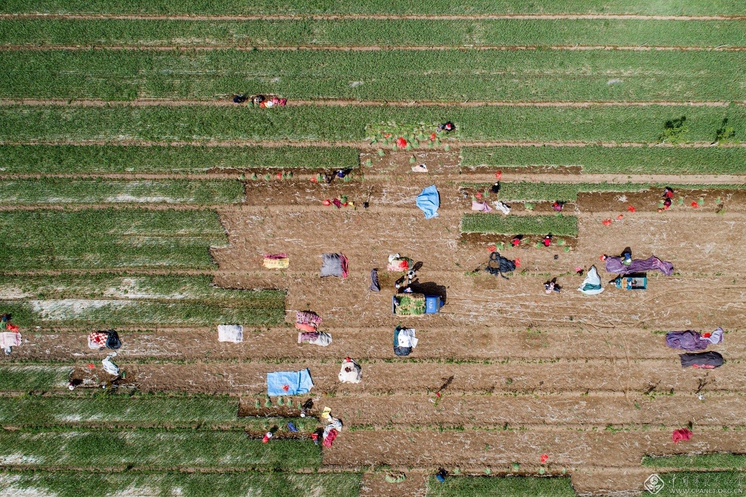 我为群众办实事活动献言献策,石家庄市我为群众办实事擂台赛