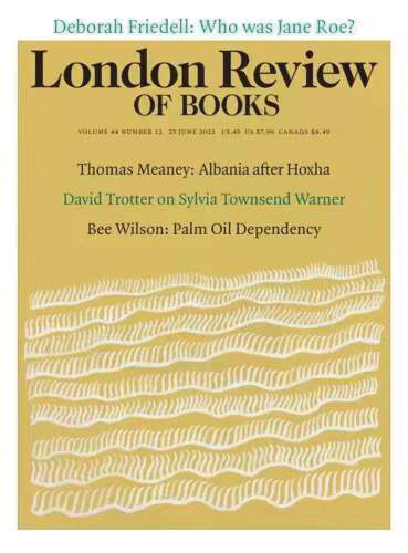 刊中人|匈牙利是美国的未来?