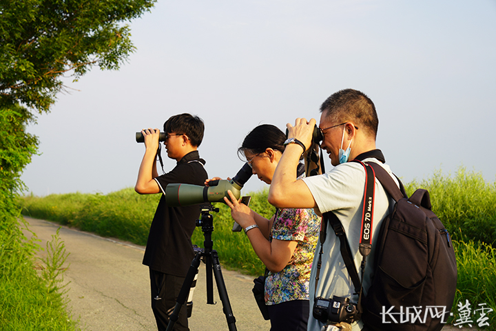 衡水湖国家级自然保护区昆虫种类 (衡水湖昆虫)