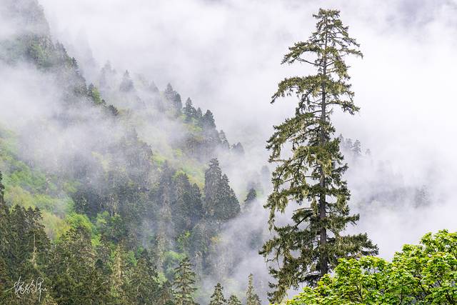 西藏骑行历险记,西藏骑行day1