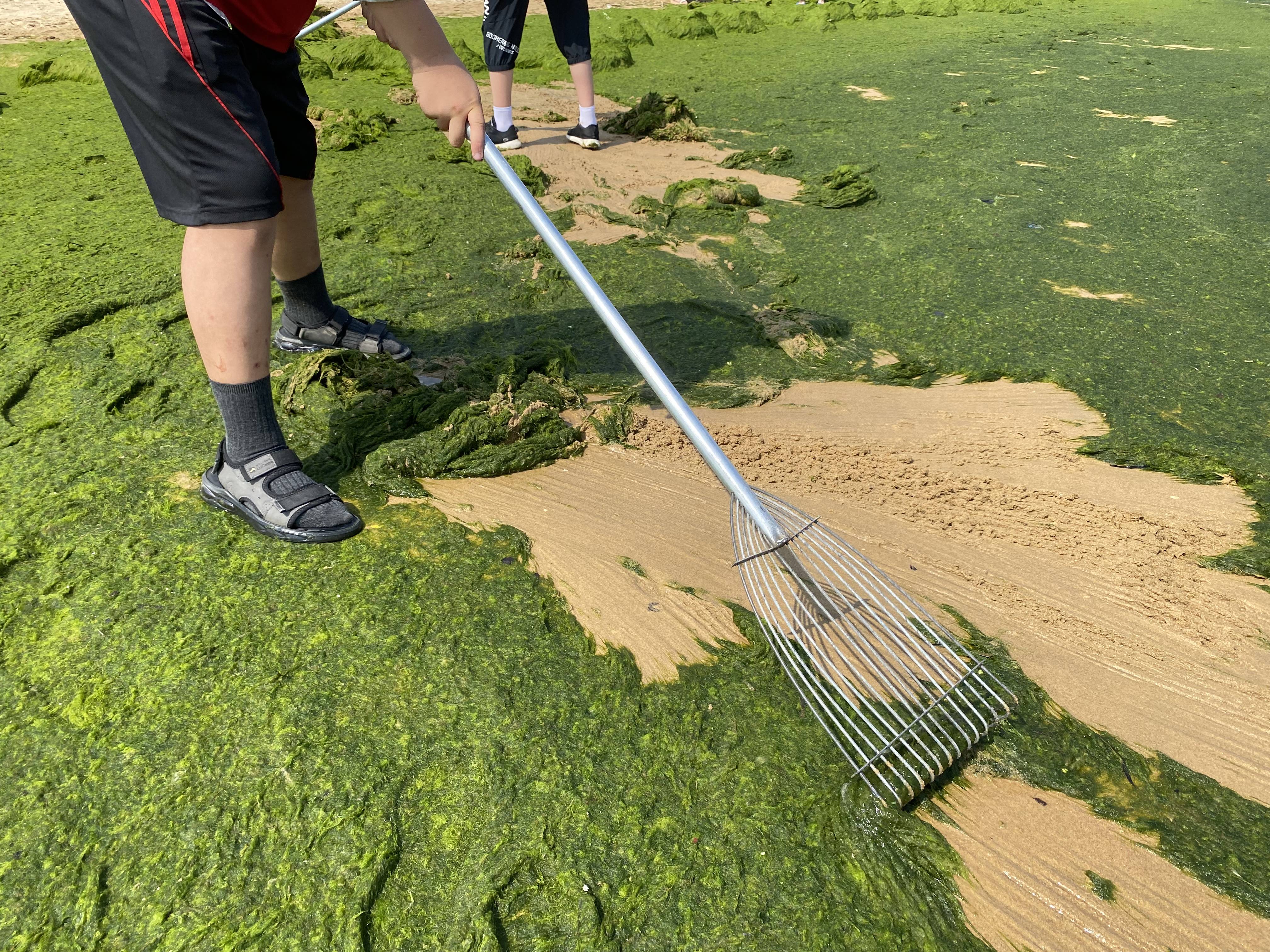 青岛金沙滩今天有啥活动,金沙滩10.1活动