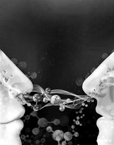 能不能做好朋友闻一闻气味就知道