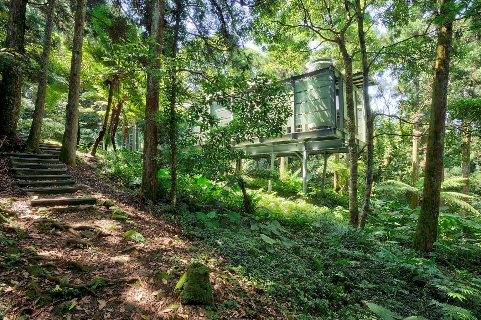 台湾101大楼改造,台湾101大厦抗震原理