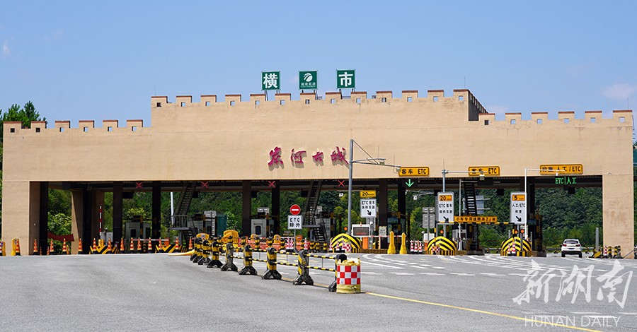 乡村振兴特色产业品牌集群,关于乡村产业振兴美丽的画卷