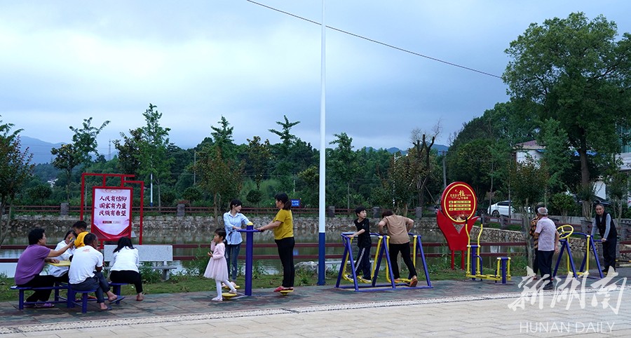 乡村振兴特色产业品牌集群,关于乡村产业振兴美丽的画卷