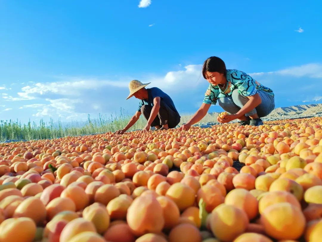非凡十年出彩孟津,非凡十年焕新启航