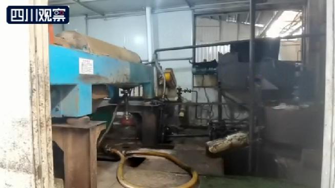 观观调查丨异味呛鼻的“田园花篱”