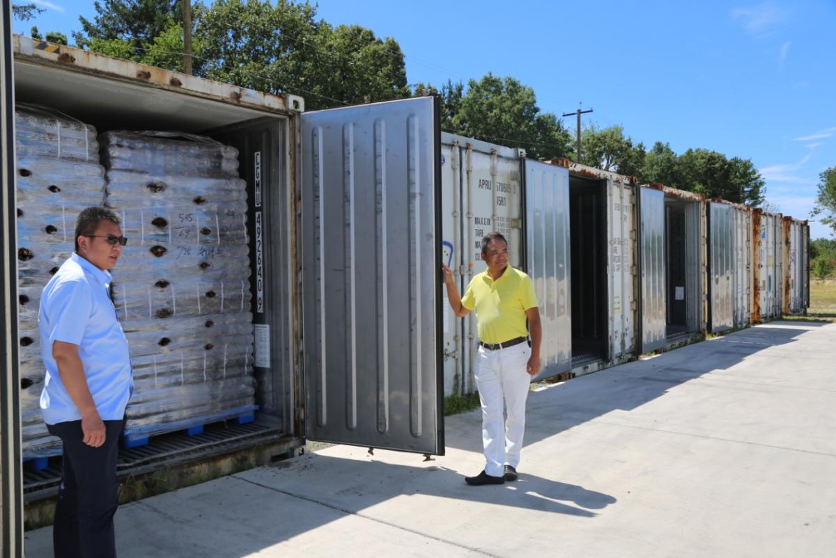 中国食用菌行业市场前景,中国食用菌行业