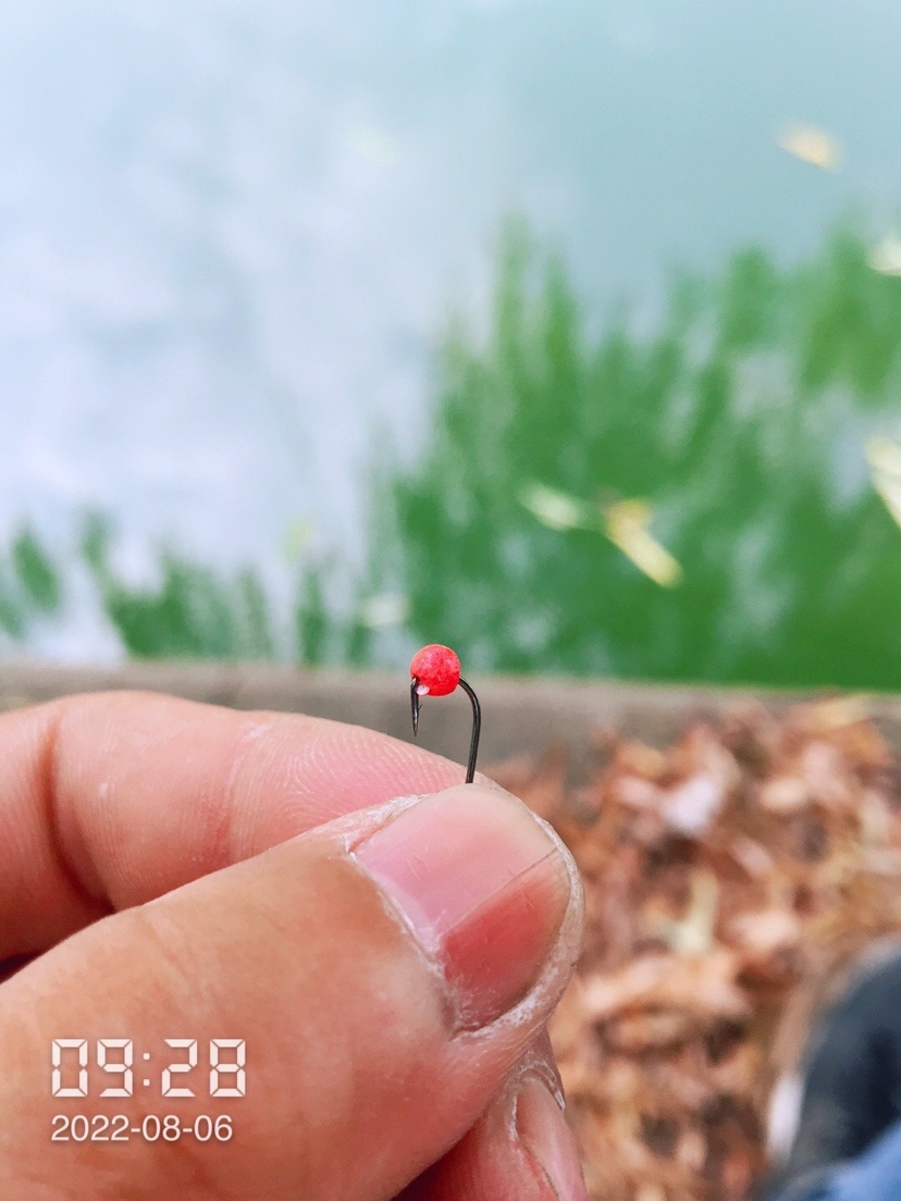 泡沫逗钓为什么比蚯蚓效果好,逗钓泡沫正确挂法