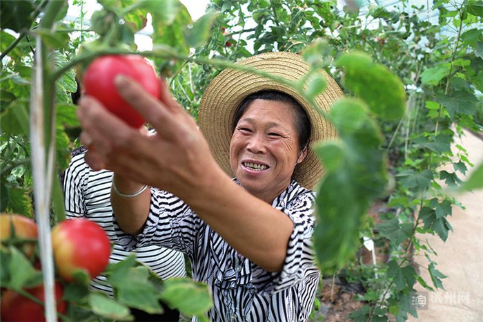 江河牵手爱洒奉节——“跨越山海‘舆’心灵相约”滨州采访团走进奉节采访活动掠影