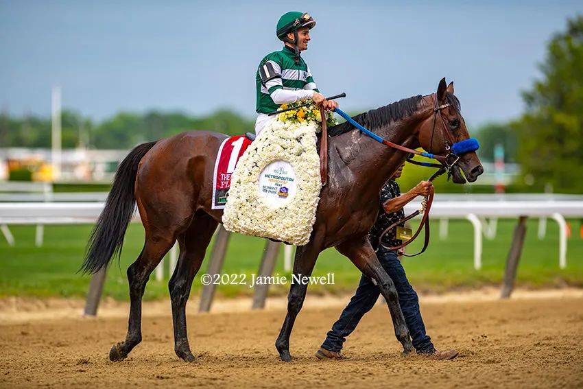 顶级马匹排名,世界排名前十的最强壮马匹