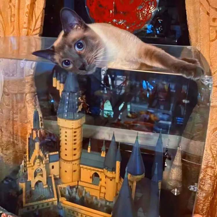 全网最挣钱的50个ip,最赚钱的ip