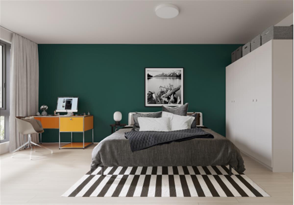 自如友家产品,自如新品