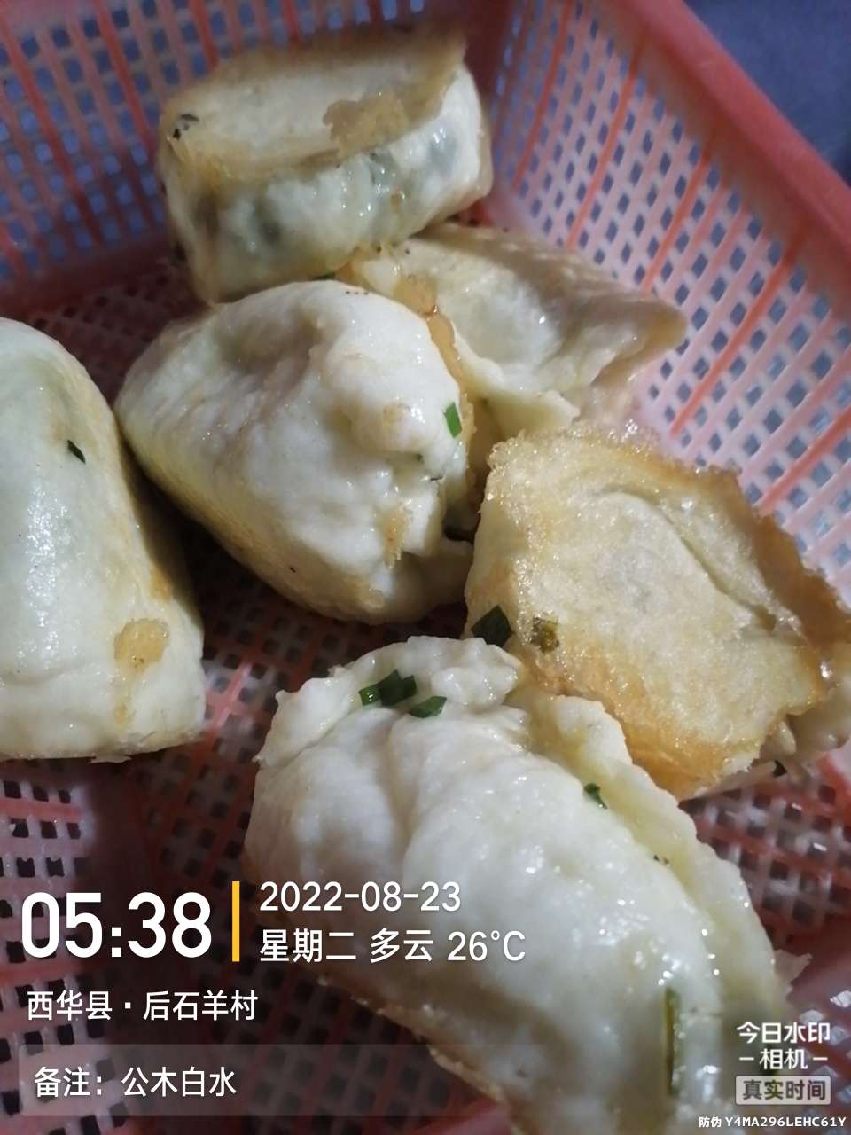 8月里面的鱼怎么钓,钓位选什么鱼最好