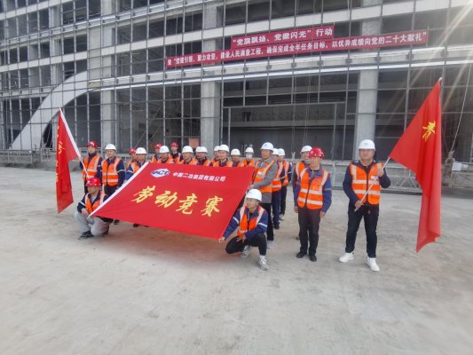 二冶山东分公司有多少项目,中国二冶山东分公司业绩