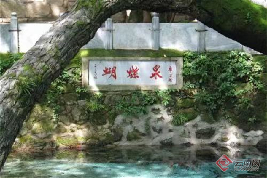 早安云南大理,大理蝴蝶泉景区与五朵金花