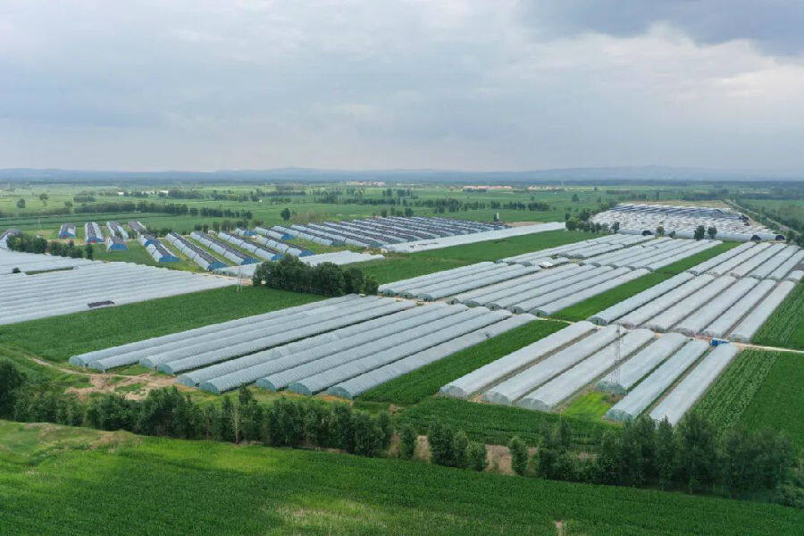 设施农业拓宽致富路,生态农业园助推农民脱贫致富