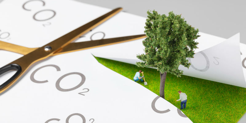 当中欧的企业都说要“低碳转型”，他们更看重什么