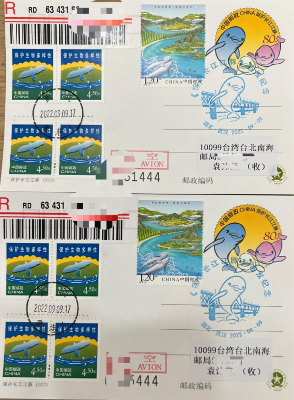 寄一只“江豚”给你，请查收