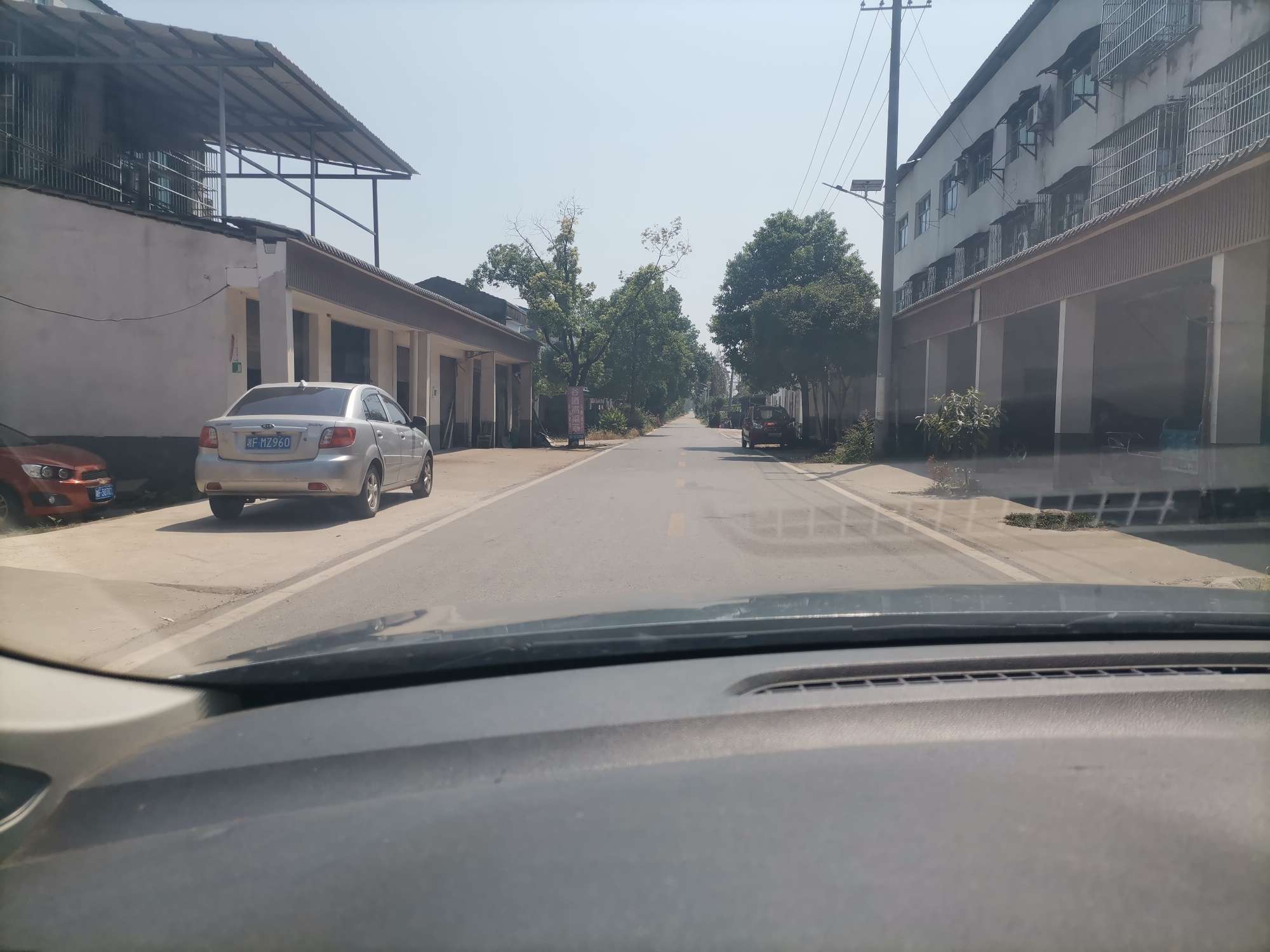 喂鱼趣事,享受喂鱼的全过程