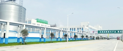 首批河南省产业创新中心名单公布绿色生态材料将成就千亿产值产业集群