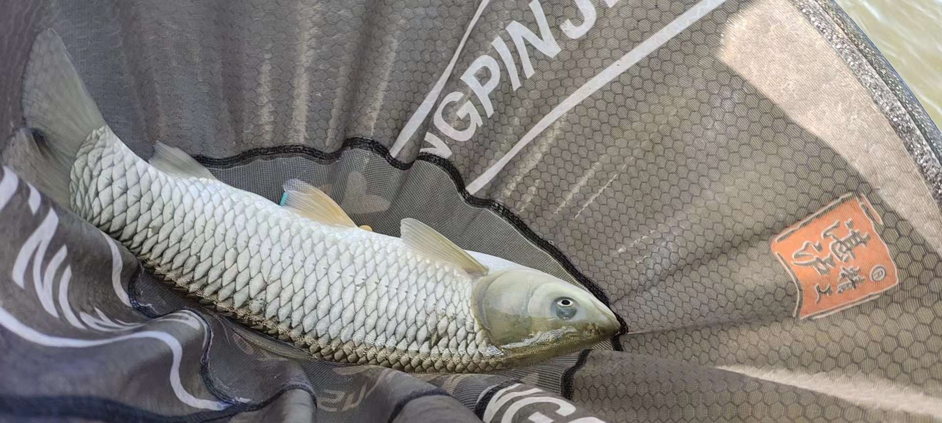 钓鱼进化史,说说那些年我的钓鱼巅峰生涯