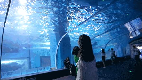 国庆广州天河好玩的地方推荐,广州天河打卡免费推荐