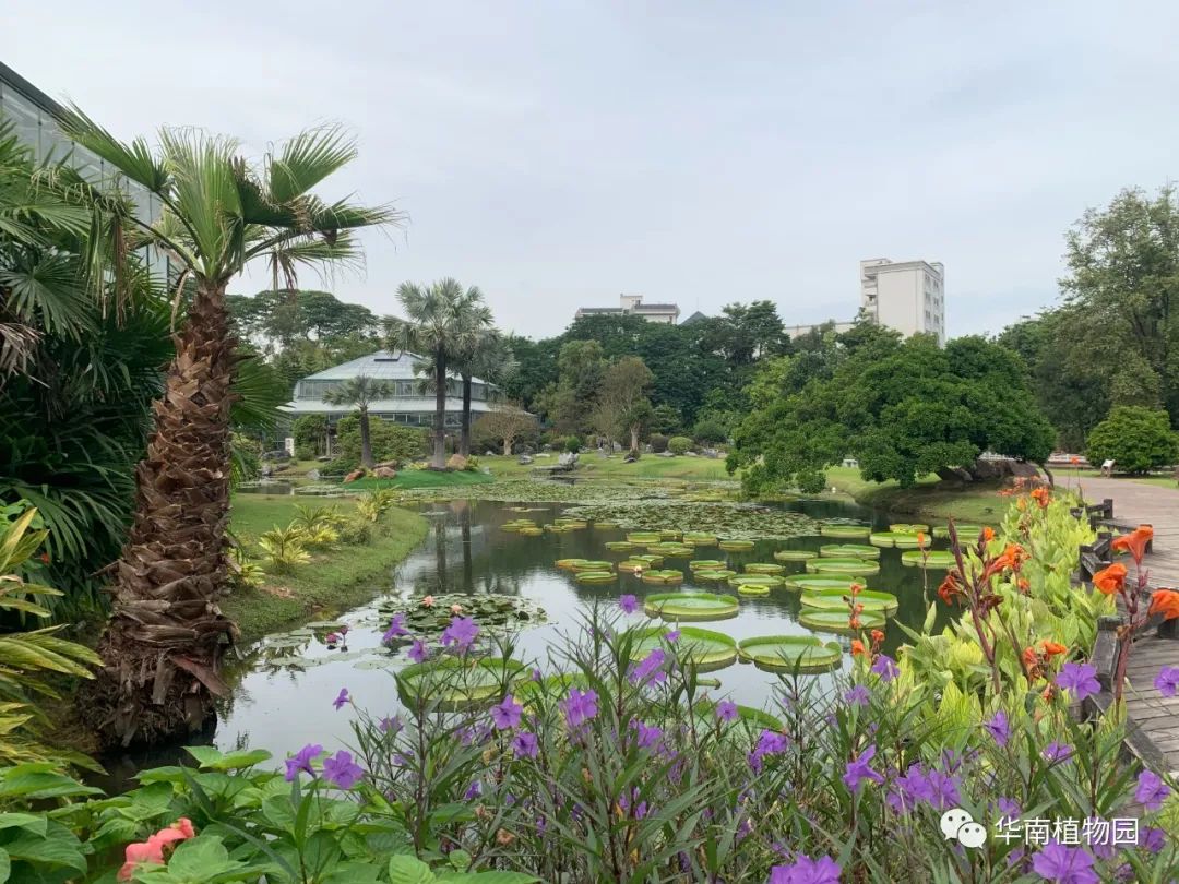 国庆广州天河好玩的地方推荐,广州天河打卡免费推荐