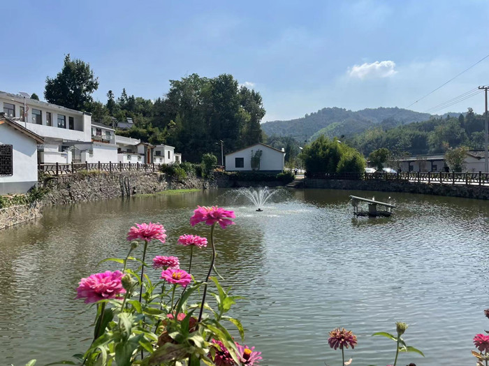 新县助推乡村振兴工作举措,河南尽锐出战筑牢乡村振兴根基