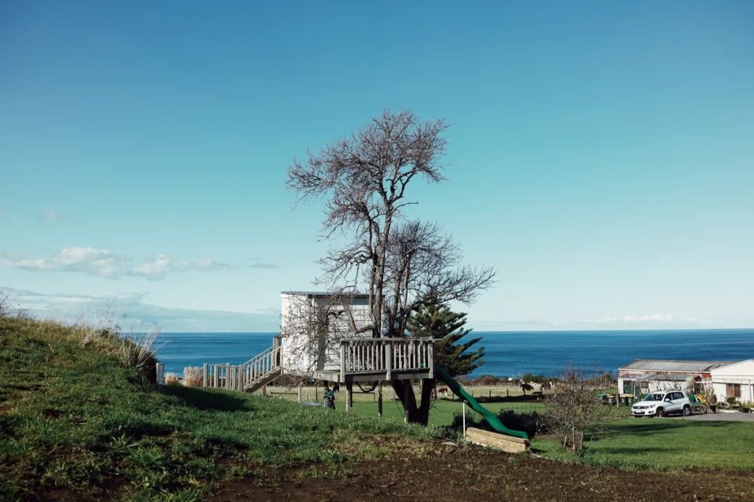 澳大利亚摘葡萄一个月能挣多少钱,澳大利亚农场打工女孩