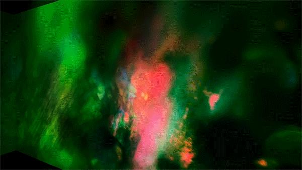 卡地亚珠宝名品欣赏,卡地亚演绎高级珠宝意象之美