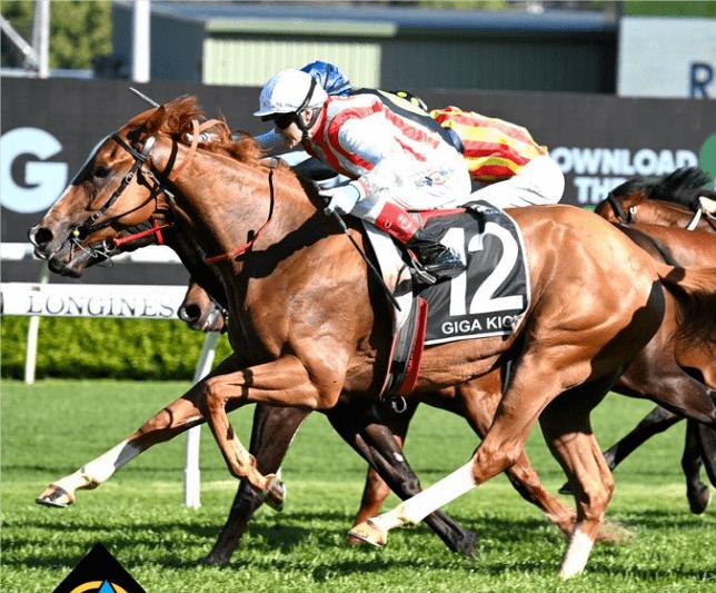 金枪60马王价值多少,金枪六十荣膺香港新马王