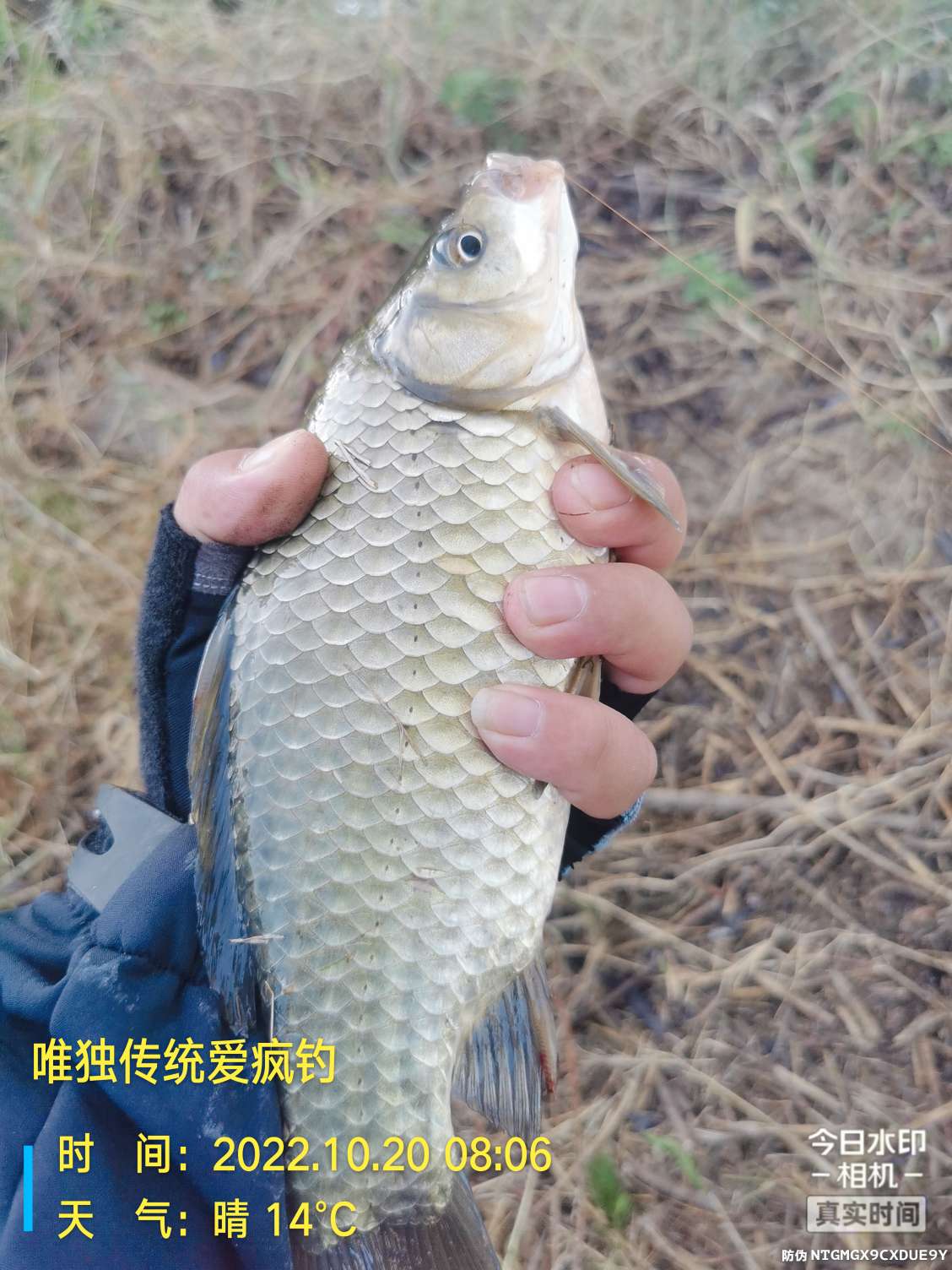 传统钓有风浪,传统钓线组如何应对风浪