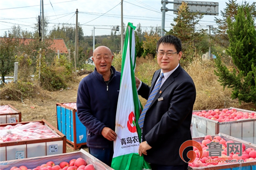 银行助力果农苹果丰收季,农商银行丰收季