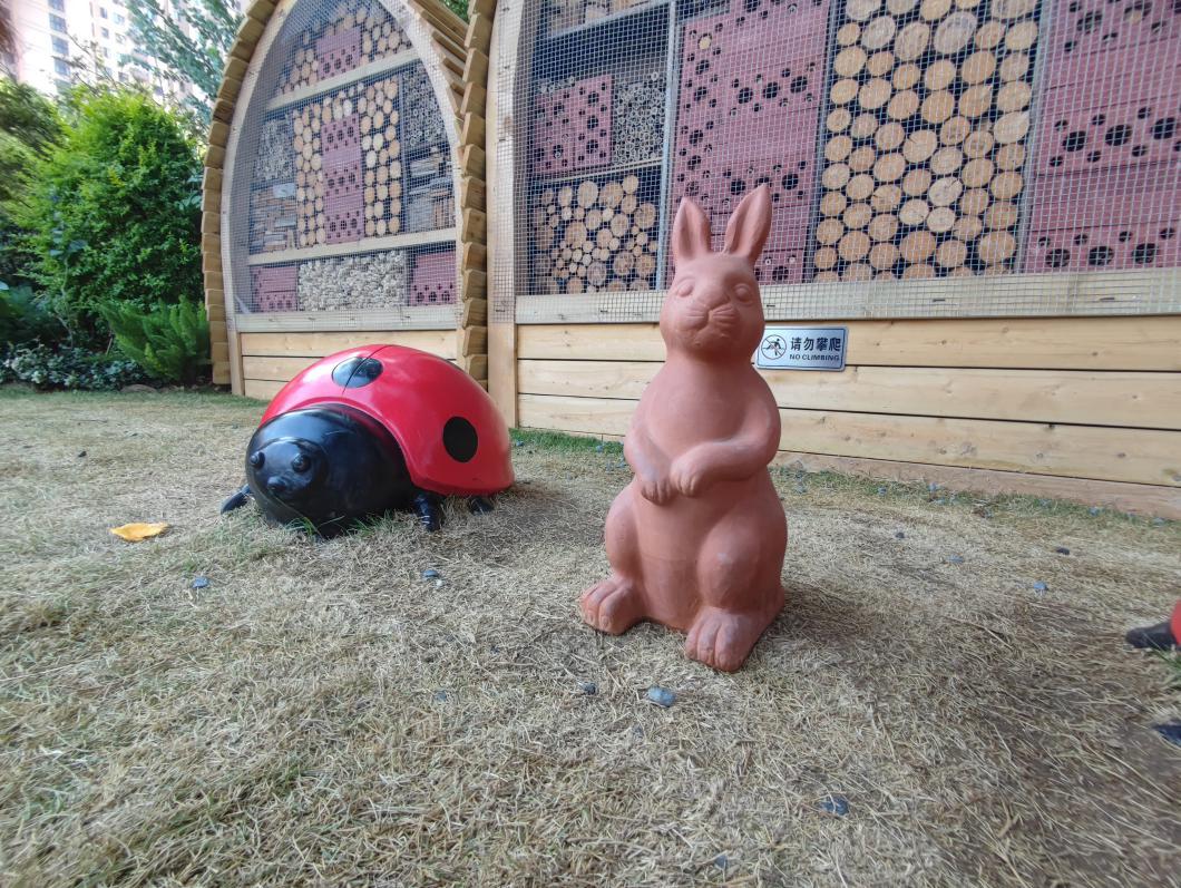 沙湖户外遛娃攻略一日游,沙湖带娃怎么玩便宜又好玩