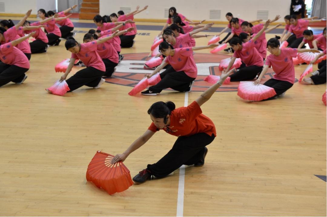 体育运动学校赛艇训练,体育课游泳项目