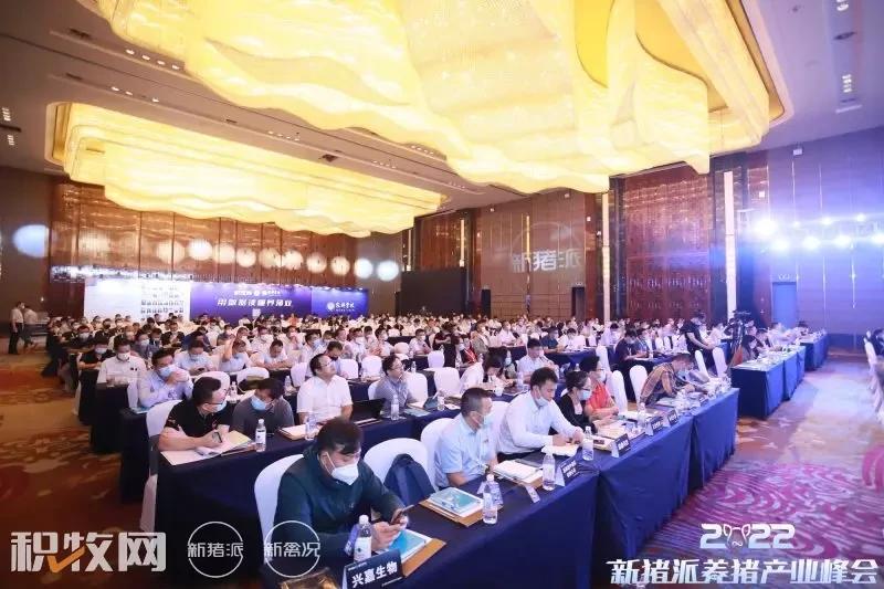 金鑫：数字化智慧养殖大平台降低10%成本，科创信达目标2025年成为头部企业