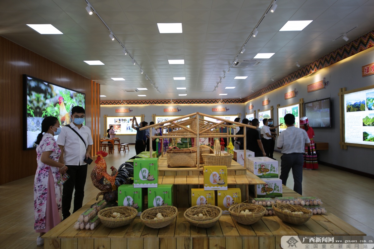 大化肉牛产业扶贫,大化养殖扶贫项目